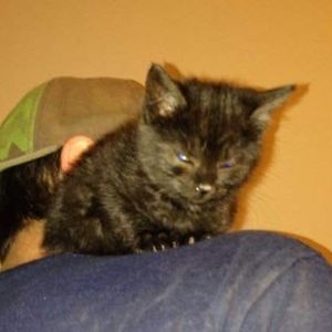 Meet your Posher, Craig